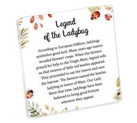 Ladybug Acrylic Office Desk Decor Sign Ladybug Lover Gift Good Luck Ladybug Inspirational Gift Ladybird Lady Bug Room Home Decoration Accessories (the Ladybug y1)