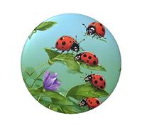 Ladybug And Green Leaves Round Badge - Durable Tinplate Design With Full Single-Sided Print, Perfect For Custom Gifts & Apparel Decoration