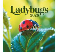 Ladybug Calendar 2026: A Whimsical Year with Nature’s Tiny Charms