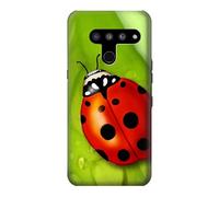 Ladybug Case Cover For LG V50, LG V50 ThinQ 5G