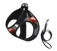 Ladybug Daisy Compact Pet Suspender Vest-The Perfect Small Pet For A Comfortable Walk
