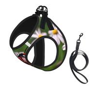 Ladybug Daisy Printing Dog Summer Harness With Leash Set,Adjustable And Reflective Step-In Puppy Pet Vest Harnesses