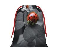 Ladybug Daisy Ultra Soft Velvet Gift Bag, Comfortable To The Touch, Reusable