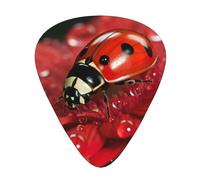 Ladybug Flower print Celluloid Guitar Plectrums for Acoustic Guitar Bass,Guitar Picks with Organizer Box