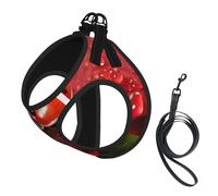 Ladybug Flower Print Pet Vest Harnesses Leash Set Reflective Puppy Vest Dogs Walking Training Dog Harness