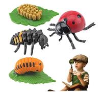 Ladybug Growing Kit, Life Cycle Toys for Kids, Simulation Animal Figurines, Educational Toys for Boys, Girls