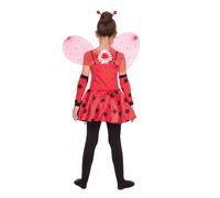 Girls Ladybird Costume Small 4-6 Years