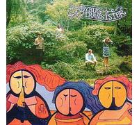 Ladybug Transistor - The Ladybug Transistor: The Albermarle Sound