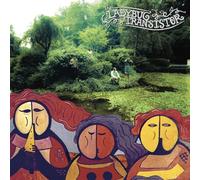 LADYBUG TRANSISTOR, THE - THE ALBEMARLE SOUND [VINYL]