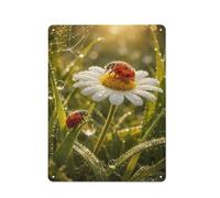 Ladybugs on A Daisy in Morning Dew Metal Sign 40x30cm, Wall Decor | Tin signs complement modern home styling for a simple room refresh.