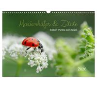 Ladybugs & quotes - Seven points to happiness UK-Version (Wall Calendar 2026 DIN A3 Landscape), CALVENDO 12 Month Wall Calendar