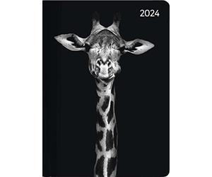 Ladytimer Midi Wild Life Art 2024 - Pocket Calendar 12 x 17 cm - Drops - with Matte Film - Note Book - Weekly - 192 Pages - Alpha Edition