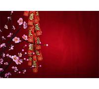 Laeacco 10x6.5ft Chinese Spring Festival Backdrop New Year Decoration Vinyl Photography Background Auspicious Words Pink Flowers Red Backdrops Greeting Card Festival Celebration Photo Prop