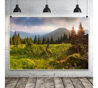 Laeacco 10x8Ft Mountain Forest Landscape Backdrop Natural Scenery Background Green Pine Trees Woods Cloudy Sky Hiking Camping Party Supplies Spring Summer Birthday Photo Studio