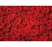 Laeacco 10x8ft Red Rose Backdrop Floral Rose Wall Background Rose Flowers Bridal Shower Party Banner Wedding Photo Studio Sweet Girl Birthday Party Backdrop Valentine's Day Mother's Day Backdrop