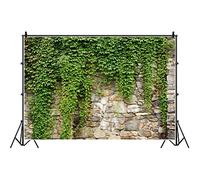 Laeacco 10x8ft Rustic Rock Wall Green Ivy Scenic Backdrop Vinyl Spring Scenic Background Child Adult Portrait Shoot Landscape Wallpaper Event Activities Video Studio Props
