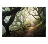 Laeacco 12x10ft Magic Misty Forest Backdrop Jungle Forest Path Woodland Green Trees Twisted Branches Photography Background for Halloween Kids Birthday Party Cake Table Decor Banner Photo Booth Props