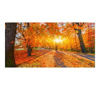Laeacco 20x10ft Fall Forest Backdrop Autumn Nature Scenery Sunshine Golden Yellow Maple Trees Pathway Fallen Leaves Photography Background Baby Shower Birthday Party Decoration Photo Booth Props