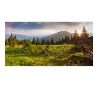 Laeacco 20x10Ft Mountain Forest Landscape Backdrop Natural Scenery Background Green Pine Trees Woods Cloudy Sky Hiking Camping Party Supplies Spring Summer Birthday Photo Studio