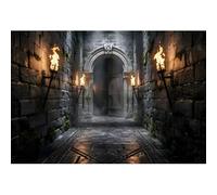 Laeacco 7x5ft Medieval Castle Backdrop Halloween Horror Stone Corridor Dungeon Photography Background for Halloween Party Haunted House Decoration Family Portrait Photo Booth Props