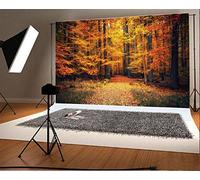 Laeacco 7x5ft Vinyl Photography Backdrop Autumn Forest Yellow Fall Leaves Grass Park Photo Background Children Baby Adults Portraits Backdrop