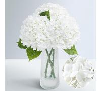 Laelfe Large White Artificial Hydrangea Flowers - 70cm Long Stem & 22cm Large Flower Head, Latex Real Touch Fake Hydrangea Bouquet for Wedding Party Home Office Decorations (3 Pcs)
