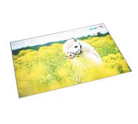 Läufer Motif Desk pad Pferd im Rapsfeld