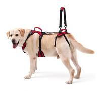 Lafoty Dog Lift Harness for Medium Dogs, Dual Handle Dog Support Harness for Daily Walking Assistance, Male Dog-Friendly, Breathable & Easy On Mobility Aid, Red, M