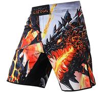 LAFROI Mens MMA Cross Training Boxing Shorts Trunks Fight Wear with Drawstring and Pocket-QJK01 Melted Wings Size XL