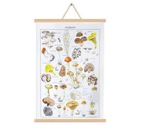 LAGAHS Vintage Mushroom Poster Hanger with Wooden Scroll Frame, Fungus Wall Art Prints, Rustic Mushroom Identification Reference Chart Poster for Living Room, Office, Bedroom Decor