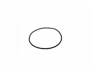Lagostina Gasket Original Pot Pressure Pratica Brava Gaia 240mm 24cm