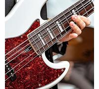 Lahdrhab Set of 5 Pcs Stainless Steel Strings with Color Ball Ends for 5 String Electric Replacement Parts