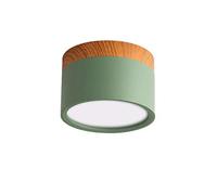 LAI HO LED Downlight, Nordic Wood Modern Led Surface Mounted Ceiling Light Fitting, Aluminum Cool White Spotlight for Dining Room Kitchen Hallway,Green,15W
