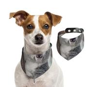 Laid-Back Koala,Dog Bandanas Cotton Pet Scarf Adjustable Bibs for Pet,S