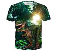 LAIDIPAS Unisex 3D Pattern Printed Casual Short Sleeve T-Shirts Tees, Dinosaur, XXL