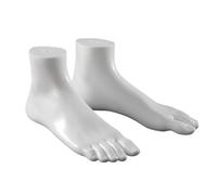 Laikoutd 1 Pair Anatomical Foot Replicas Shoe Display Foot Model Suitable for Education Artistic Anatomy Study Shoe Photography Art Bookends for Desk Decors