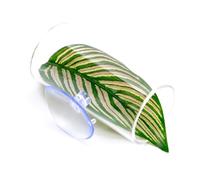 Laikoutd Bettas Breeding Natural Habitats Creation Professional Aquariums Accessory For Aquariums Enthusiasts Waterproof Fish Ornaments