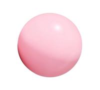 Laikoutd Gym Ball For Pilates Cores Training Physical Therapies And Balances Exercise 25cm 10Inch Soft Pilates Exercise Stability