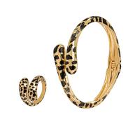 Laikoutd Trendy Leopard Pattern And Rings Set Stylish Women's Statement Jewelry Alloy Accessory For Fashion Lovers Fashion And
