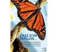 L'aile d'un papillon