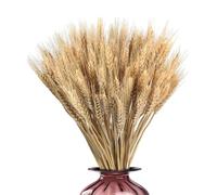 Laimejia 100PCS Dried Wheat Flowers, 21.65in Natural Wheat Stalks Bundle, Artificial Flowers Bouquet Grass Flora For Home Decor, Autumn Decor, Wreath Making, Cake DecorationsFlowers