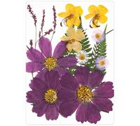 LAIOUSN 18Pcs Long Time Pressed Flower Set Natural Homes Decors Materials for Frames and Gift Making Natural Dry Flower Decorations