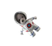 LAIOUSN Fanciful Spaceflyer Dog Outfit Quick Ending Plan Exemplary for Parties Photos Costume Incidents Easy Wear Dog Costume
