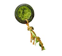 LAIOUSN Miniature Trees Trunk Hideaways For Small Reptiles Secure Base Metal Pet Habitat Small Pet Climbing Cave