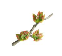 LAIOUSN Reptiles Decoration Terrariums Plant Corner Climbing Branch Suction Cup Aquariums Artificial Vine For Snake Bearded Dragon Reptiles Vine For Terrariums
