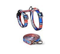 LAIOUSN Ventilated Polyamide Puss Utilize and Rope Set with Modifiable Belts Fast Release Clip for Comfortable Walks Modifiable Puss Utilize Conjuring Tape