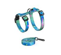 LAIOUSN Ventilated Polyamide Puss Utilize and Rope Set with Modifiable Belts Fast Release Clip for Comfortable Walks Modifiable Puss Utilize Conjuring Tape