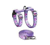 LAIOUSN Ventilated Polyamide Puss Utilize and Rope Set with Modifiable Belts Fast Release Clip for Comfortable Walks Modifiable Puss Utilize Conjuring Tape