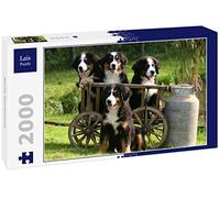 Lais Jigsaw Puzzle Bernese Mountain Dog 2000 pieces