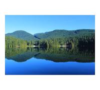 Lake Aquarium Background Tranquil Forest Mountain Terrarium Backdrop Blue Sky Spectacular Natural Lake Theme Fish Tank Background Rainforest Mountains Reptile Habitat Background Decors 30x18in